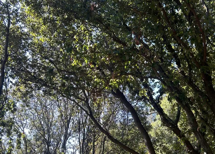 Tente Avec Vue Sur La Baie D'ajaccio Ajaccio (Corsica)