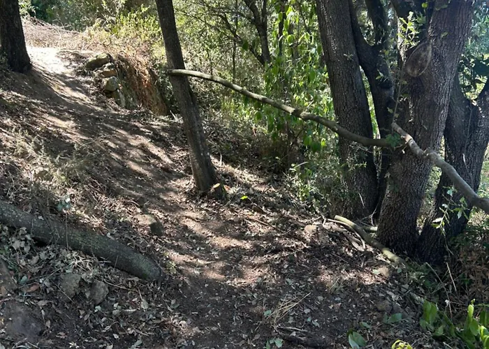 Tente Avec Vue Sur La Baie D'ajaccio