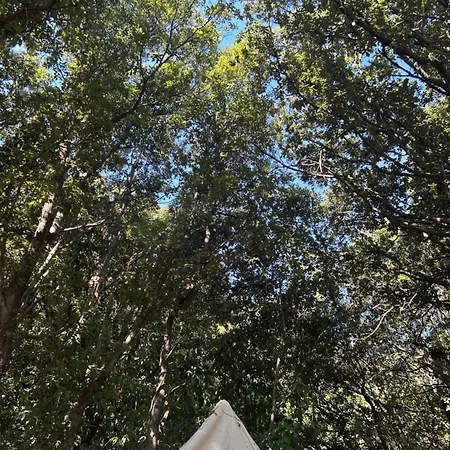 Tente Avec Vue Sur La Baie D'ajaccio Campo de lujo Ajaccio (Corsica)