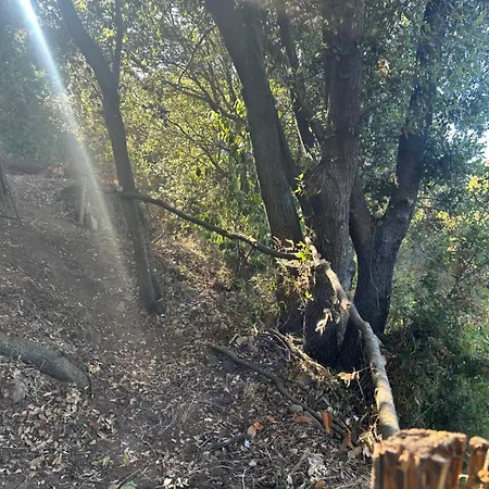 Tente Avec Vue Sur La Baie D'ajaccio Campo de lujo Ajaccio (Corsica)