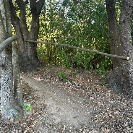 Tente Avec Vue Sur La Baie D'ajaccio Tente de luxe