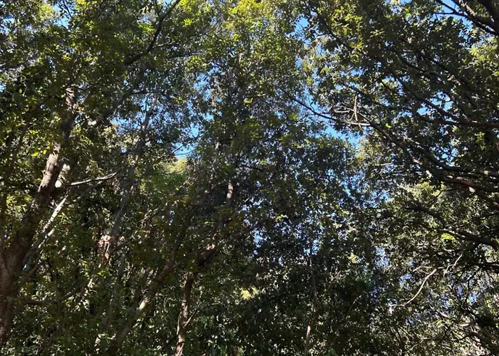 Tente Avec Vue Sur La Baie D'ajaccio Tente de luxe Ajaccio (Corsica)