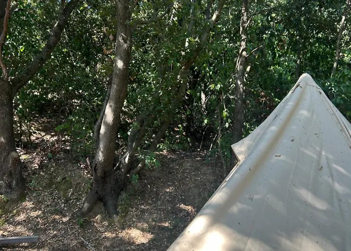 Tente Avec Vue Sur La Baie D'ajaccio Tente de luxe Ajaccio (Corsica)