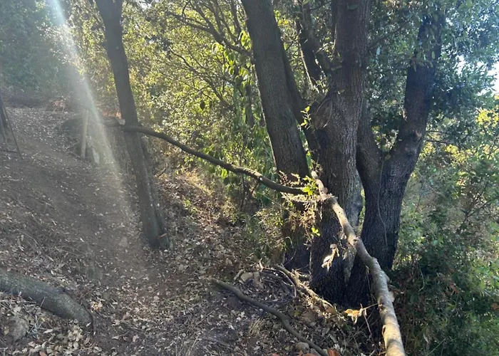 Tente Avec Vue Sur La Baie D'ajaccio Tente de luxe Ajaccio (Corsica)