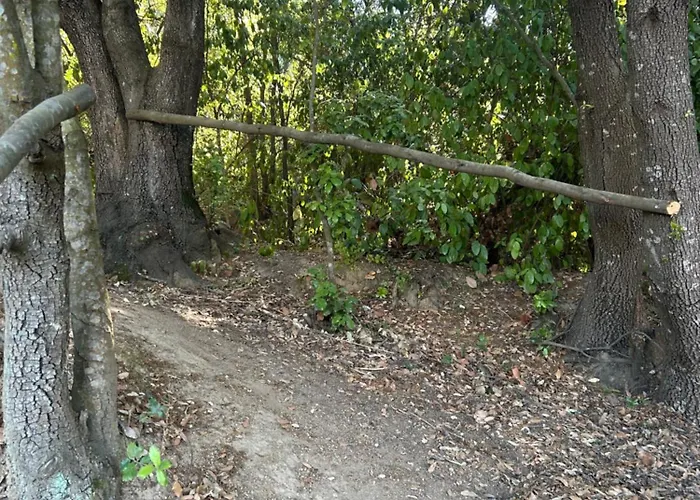 Tente Avec Vue Sur La Baie D'ajaccio Tente de luxe